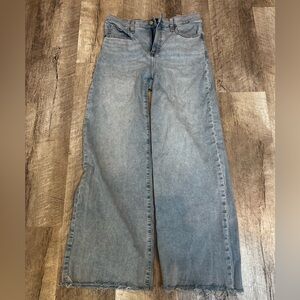 Banana Republic Light Blue Wide Leg Jeans